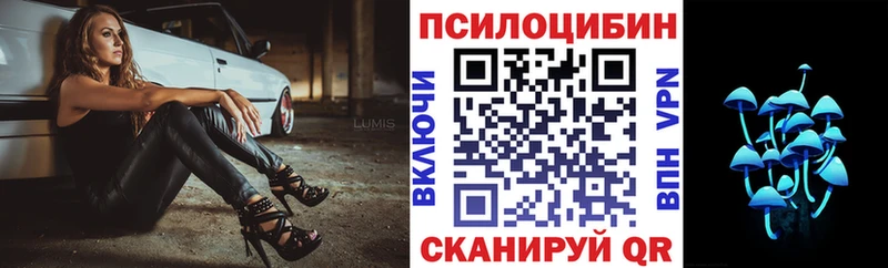 omg как войти  Темников  Галлюциногенные грибы мухоморы  наркотики 